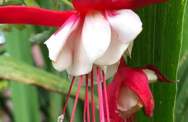 Quinta da Pavoa - Cottage House - Photo 68