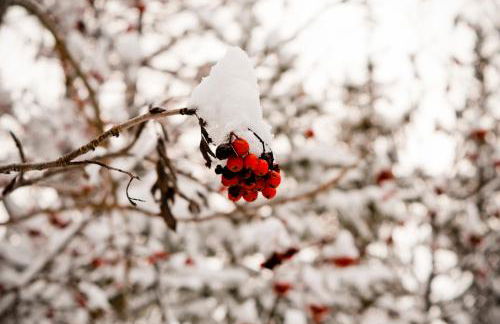 Your apartment near the ski lift - Foto 21