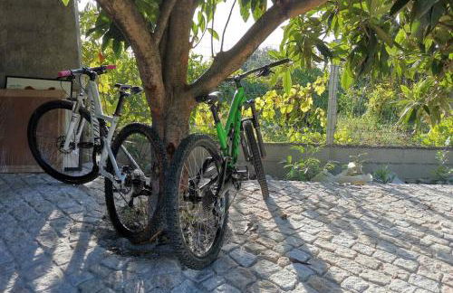 Casa Bento Moura Portugal - Foto 20