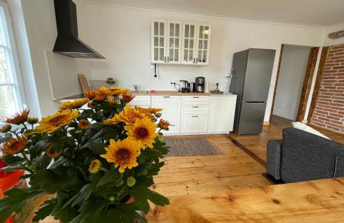 Cozy apartment in a historic house - Foto 68