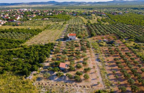 Villa Storia - Photo 7