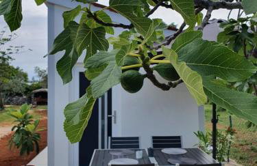 Studio Apartment Ceca*** - Foto 1