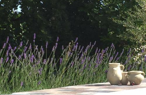 Casa Sant Angelo - Photo 12