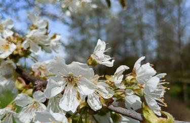 Wolfsgrund 14 - Foto 14