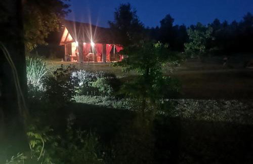 Magnus Lupus - Foto 9