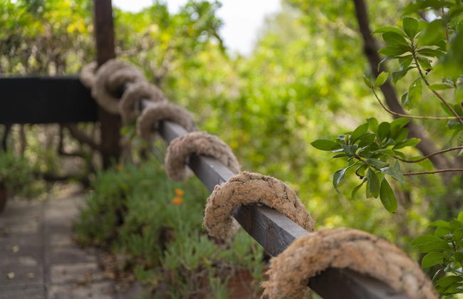 Sardinia Re - Casa Virdis - Photo 29