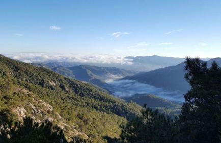 Casa Rural Cal Puyo - Foto 10