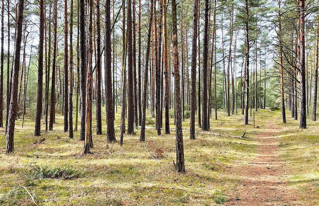 4 Star Holiday Home in Yngsjo-by Traum - Foto 7