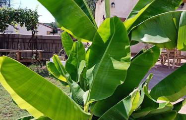 VILLA FALCONERA APARTAMENTS, GANDIA a las faldas de la montaña RELAX & PETS - Foto 26