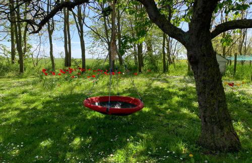 Landhaus Haack - Foto 14