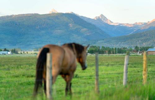 Upscale Hot Tub Wildlife Views - Photo 11