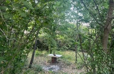 Etna 1928 Country House - Foto 72