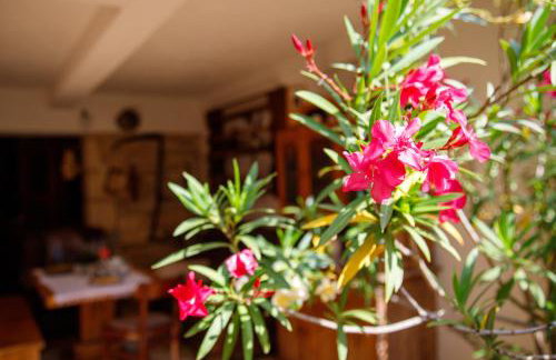 Little App - magical surrounding - Foto 50