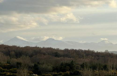 The Horsebox, unexpected luxury - Foto 33