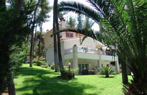 Mira Forest Residences - Foto 29