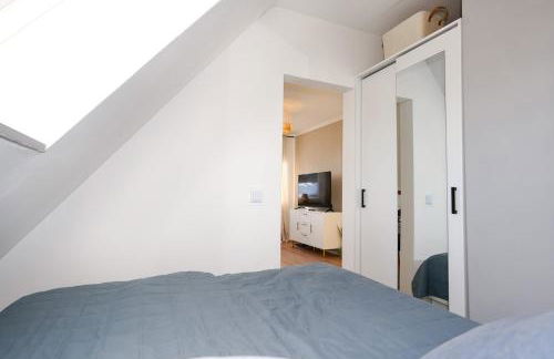 Kleiner Seestern - Foto 18