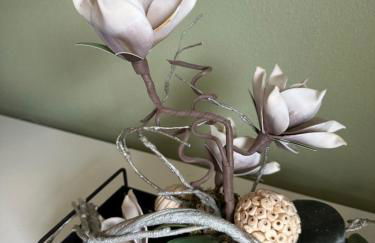 River Room - Foto 24