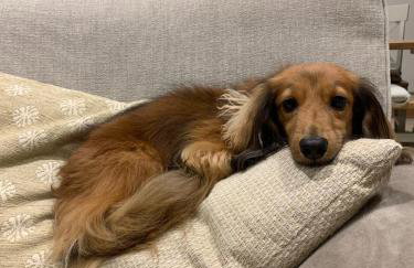 Barrow Hill Barns - Foto 8