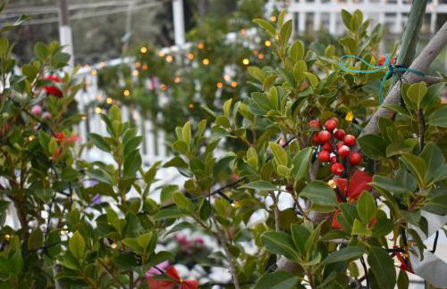 Panorama Γλυκά Νερά - Athens - Foto 13