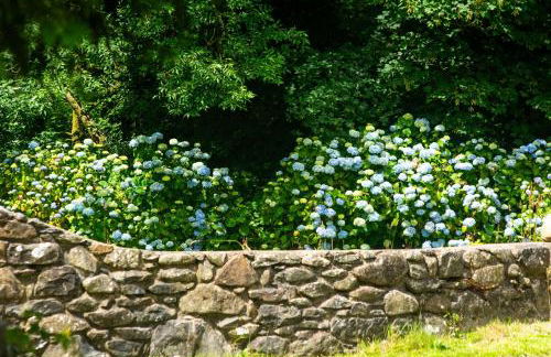 Rose Cottage - Photo 22