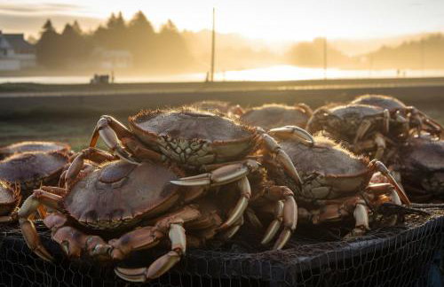 1 block to beach, Private Hot Tub, Fire Pit and BBQ - Foto 33