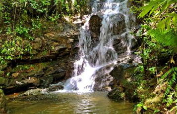 Pousada Sitio Gan Eden - Foto 63