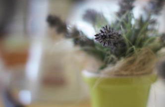 Agriturismo Beatilla - Photo 76