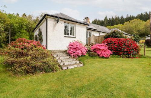 Forester's Cottage - Foto 21