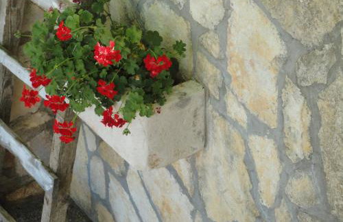 Apartments Ema - Foto 56