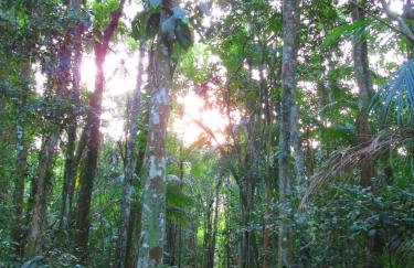 Refúgio dos Valdenses - Photo 36