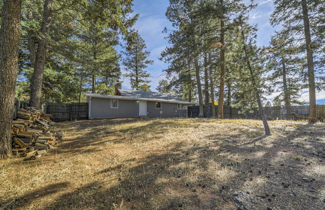 2brwren's Nestdowntown and Hiking Nearby - Foto 48