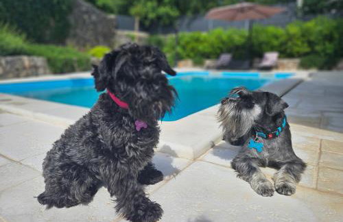 Villa Bellina Muraj - Photo 8