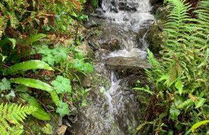 Wild Coastal Retreat at Troed Y Rhiw Aberporth, West Wales - Foto 47