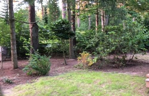 Ferienhaus Reetdach 1300qm Privatgrundstück Bootssteg Sauna Templin Lübbesee Uckermark Erholung pur Seenplatte - Photo 26