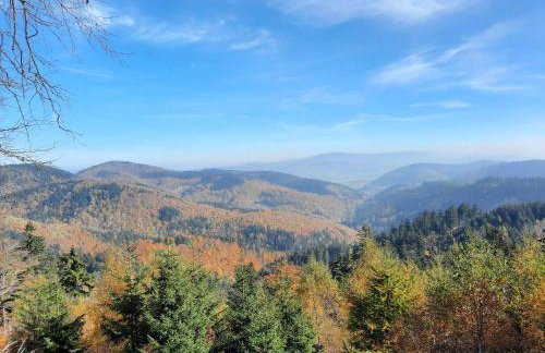 Domek Ostoja - Foto 58