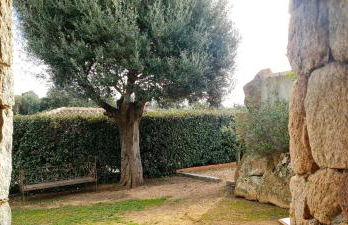 Gianni Location Palombaggia - Foto 31