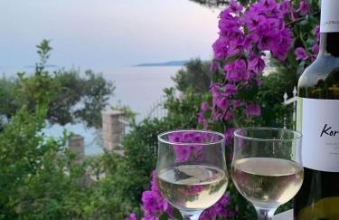 Luxury Seaside Villa with a classic Mediterranean Olive Garden, a fully equipped Professional Kitchen, Pool, Sauna, Padle Boards and Canoe - Miolin Beach House - Photo 32