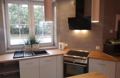 Apartamenty Paszkówka - Foto 38