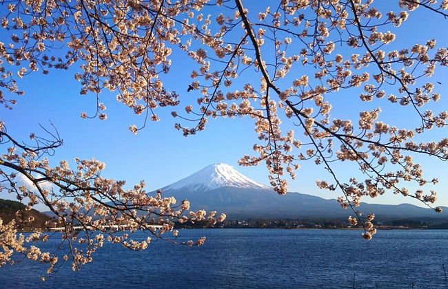 Lake Villa Kawaguchiko - Photo 47