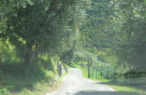 Agriturismo Cascina Lert - Foto 76