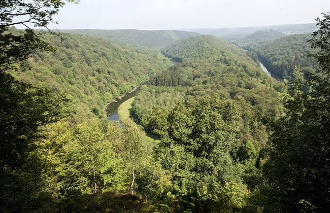 Zythogite Appartement 6 personnes - Foto 26