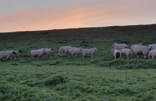 Nordlichthuus - Foto 39