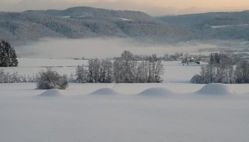 Hochsalerblick - Foto 5