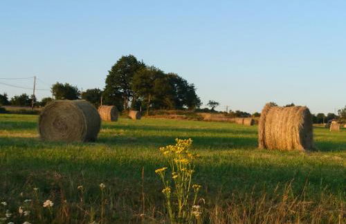 La Croisée Des Chemins - Foto 24