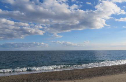 Fattoria Armonia - Foto 12