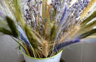 Glan Llyn Farm House - Foto 27