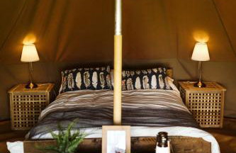 Gaggle of Geese Pub - Shepherd Huts & Bell Tents - Foto 7