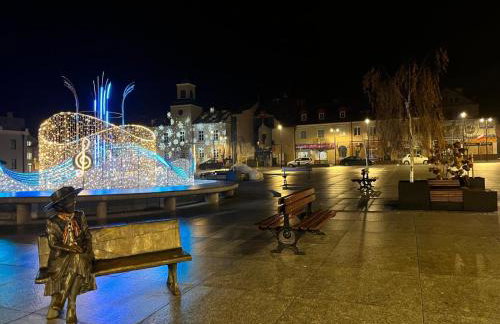 Apartamenty Stary Rynek 18 - Foto 28