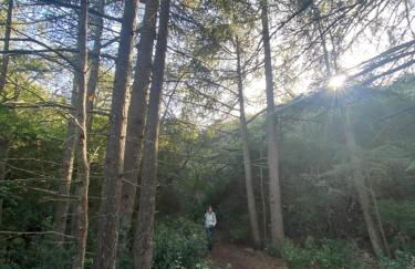 Vacances face au Luberon - Foto 47