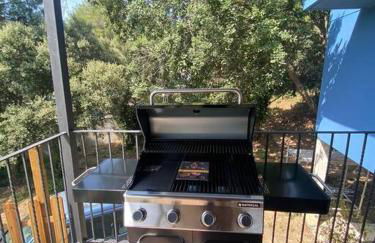 La Casa Azul - Foto 15